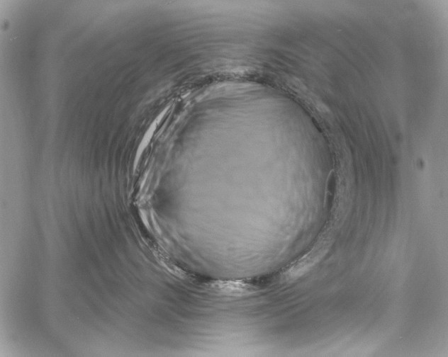 X0000061750528200512302241