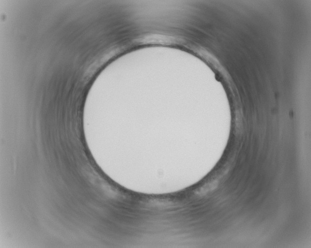 X0000061750529200512302240