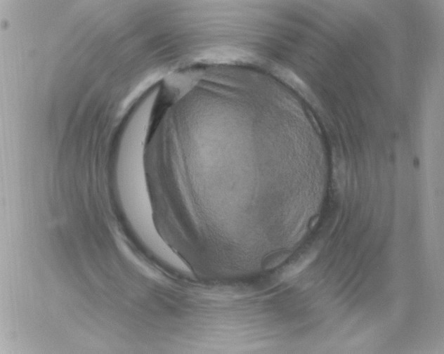 X0000061750530200512302240