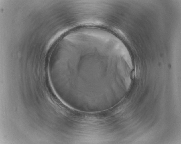 X0000061750531200512302240