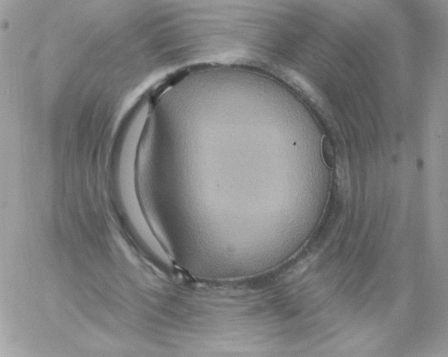 X0000061750532200512302240