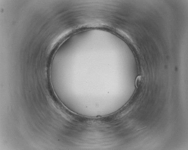 X0000061750535200512302240