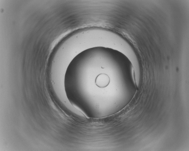 X0000061750536200512302240