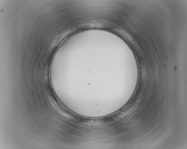 X0000061750537200512302240