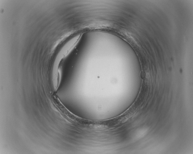 X0000061750539200512302240