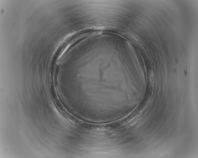 X0000061750540200512302240