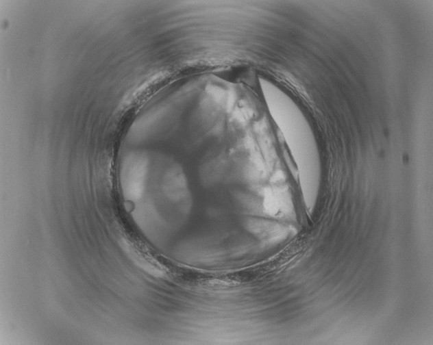 X0000061750542200512302240