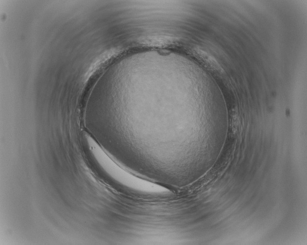 X0000061750544200512302240