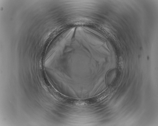 X0000061750547200512302240