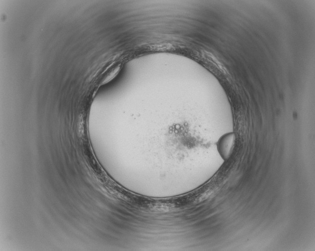 X0000061750549200512302240