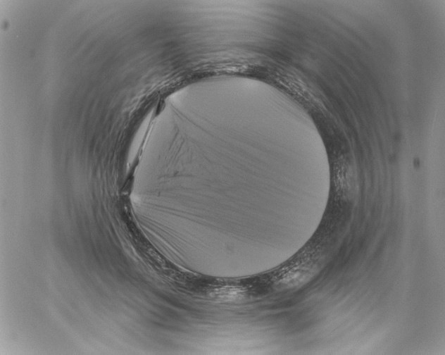 X0000061750551200512302240