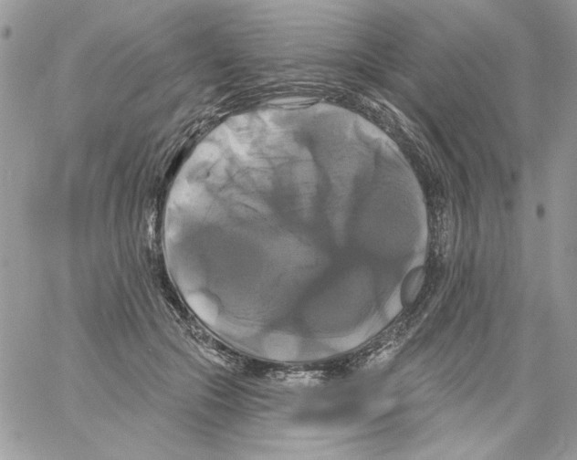 X0000061750553200512302240