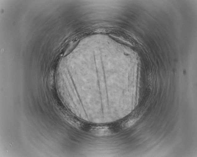 X0000061750554200512302240