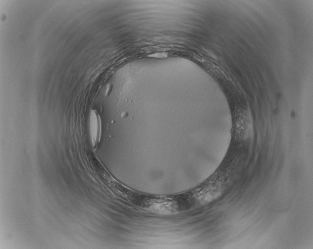 X0000061750555200512302240