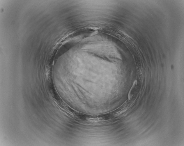 X0000061750556200512302240