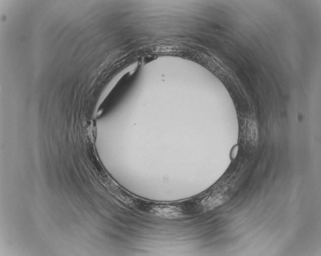 X0000061750557200512302240