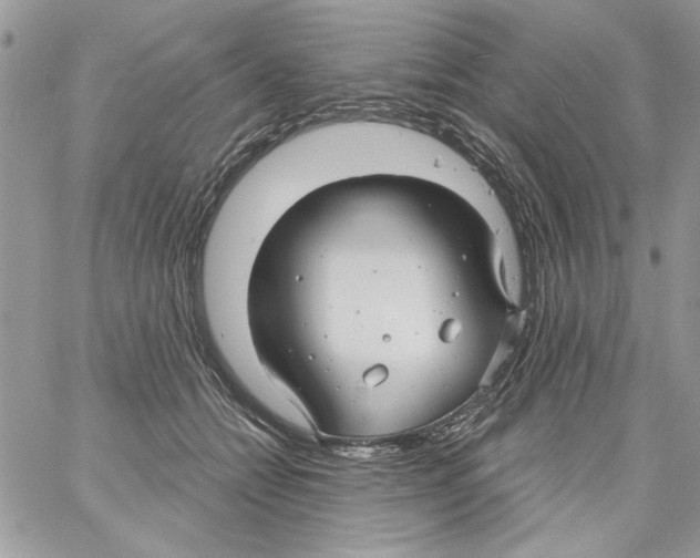 X0000061750558200512302240