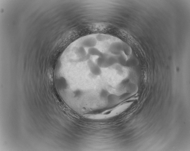 X0000061750561200512302240