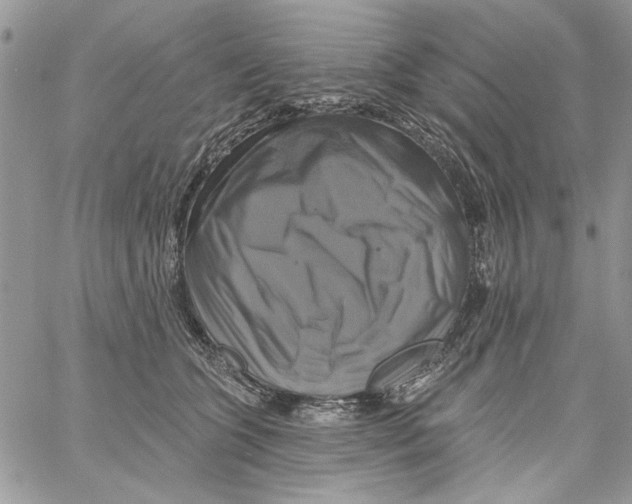 X0000061750563200512302240