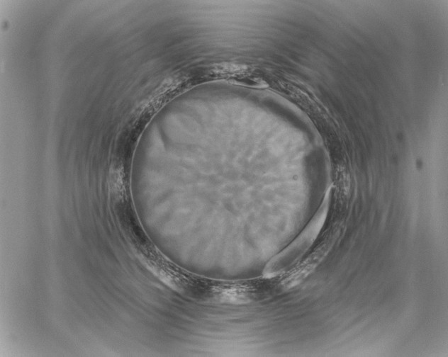 X0000061750564200512302240