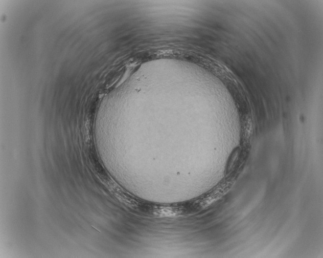 X0000061750565200512302240