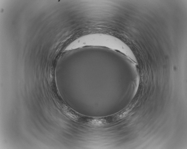 X0000061750566200512302241