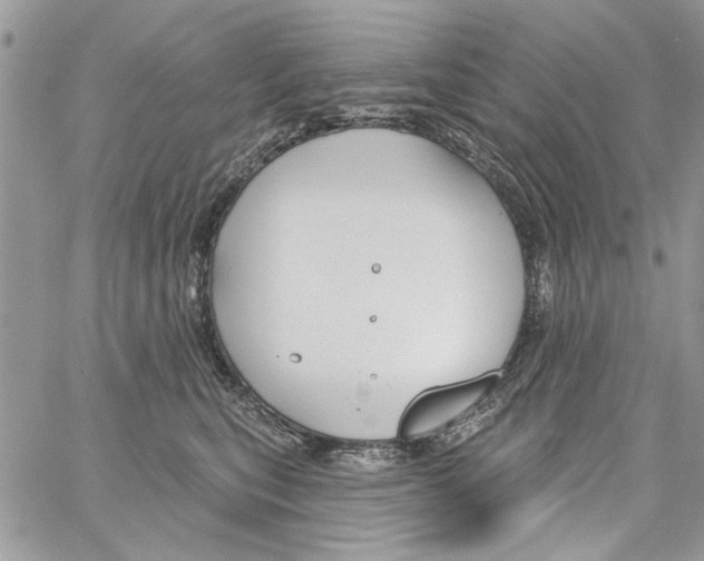 X0000061750567200512302241