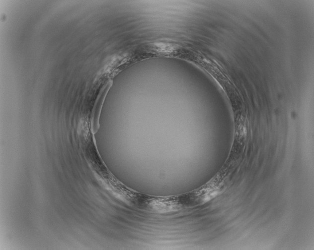 X0000061750568200512302241