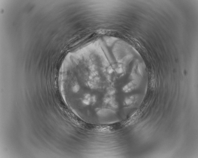 X0000061750569200512302241