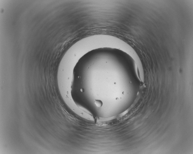 X0000061750570200512302241