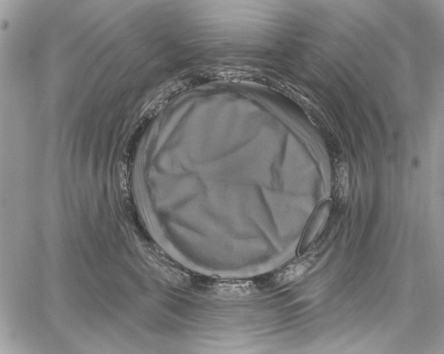 X0000061750571200512302241