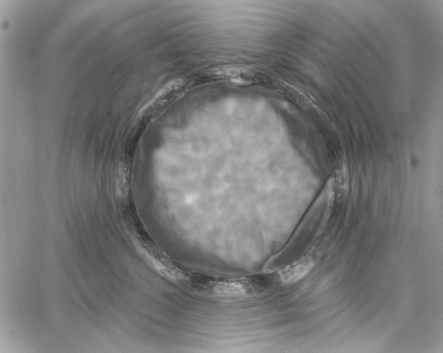 X0000061750572200512302241