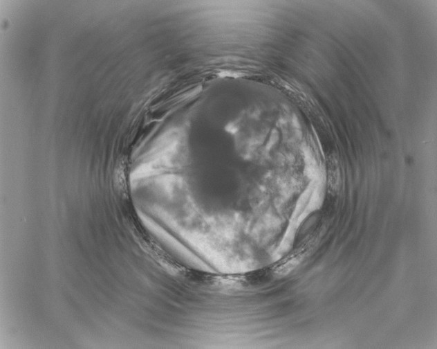 X0000061750573200512302241