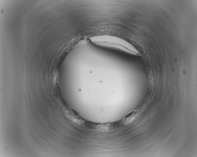 X0000061750574200512302241