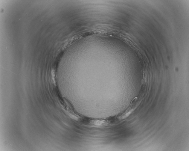 X0000061750575200512302241