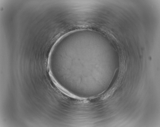 X0000061750576200512302241