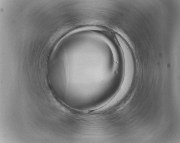 X0000061750577200512302240