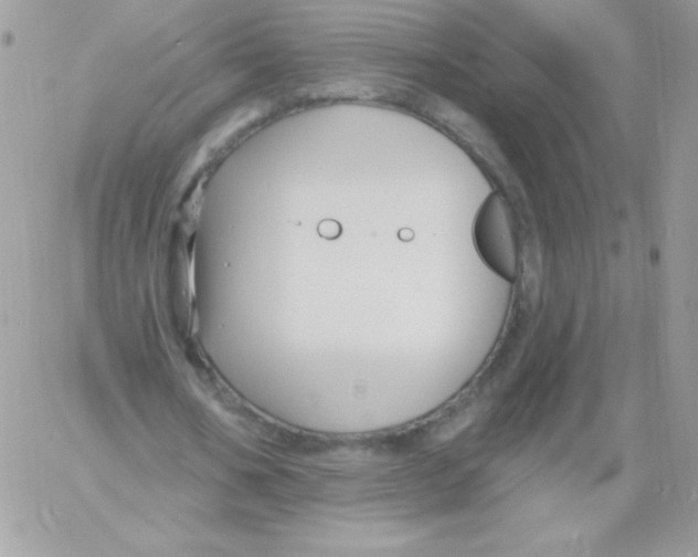 X0000061750578200512302240