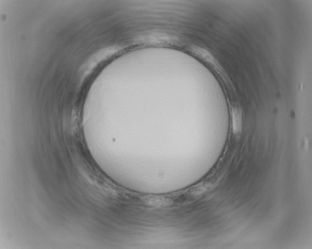 X0000061750579200512302240