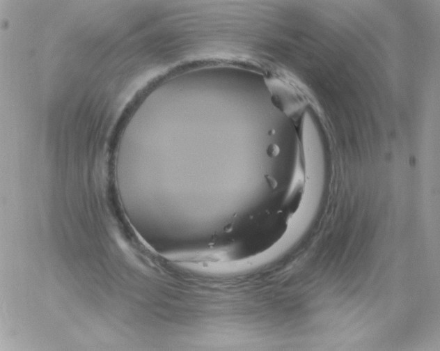 X0000061750580200512302240