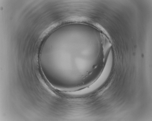 X0000061750581200512302240