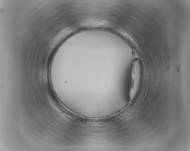 X0000061750582200512302240