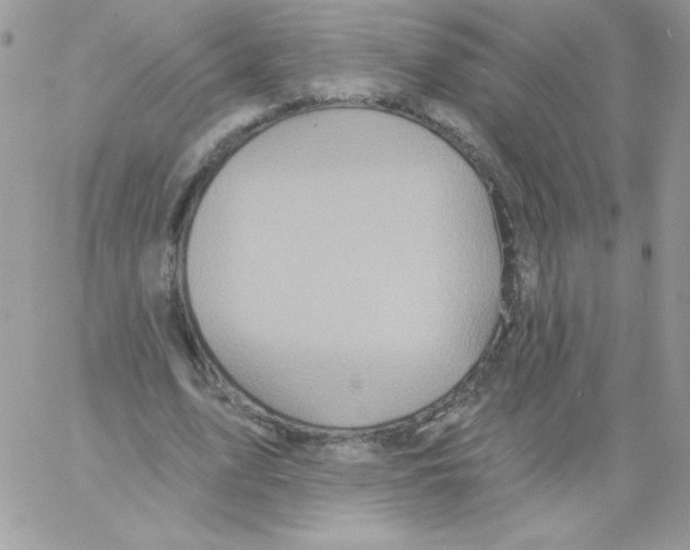 X0000061750583200512302240