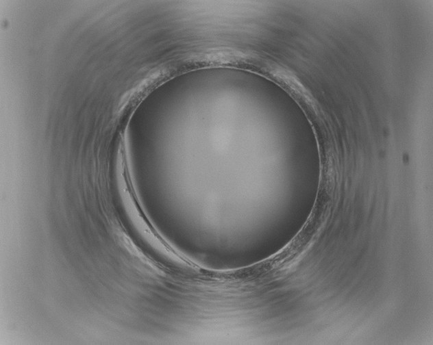 X0000061750585200512302240