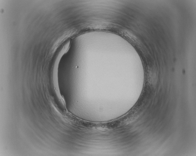 X0000061750586200512302240