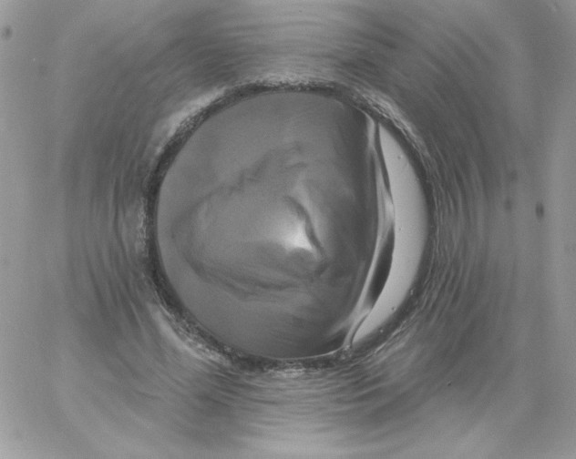 X0000061750588200512302240