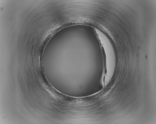 X0000061750589200512302240