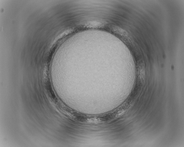 X0000061750591200512302240