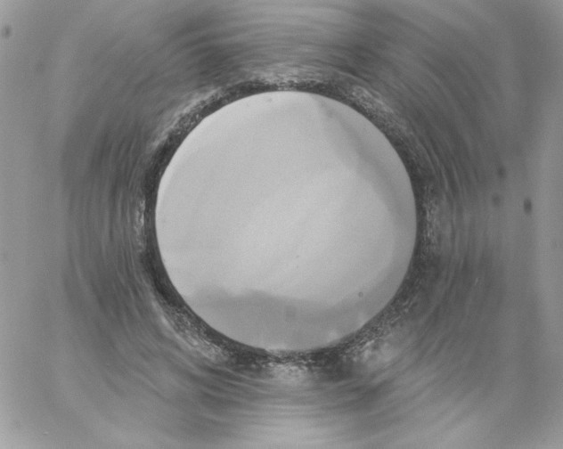 X0000061750592200512302240