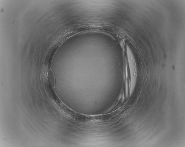 X0000061750593200512302240